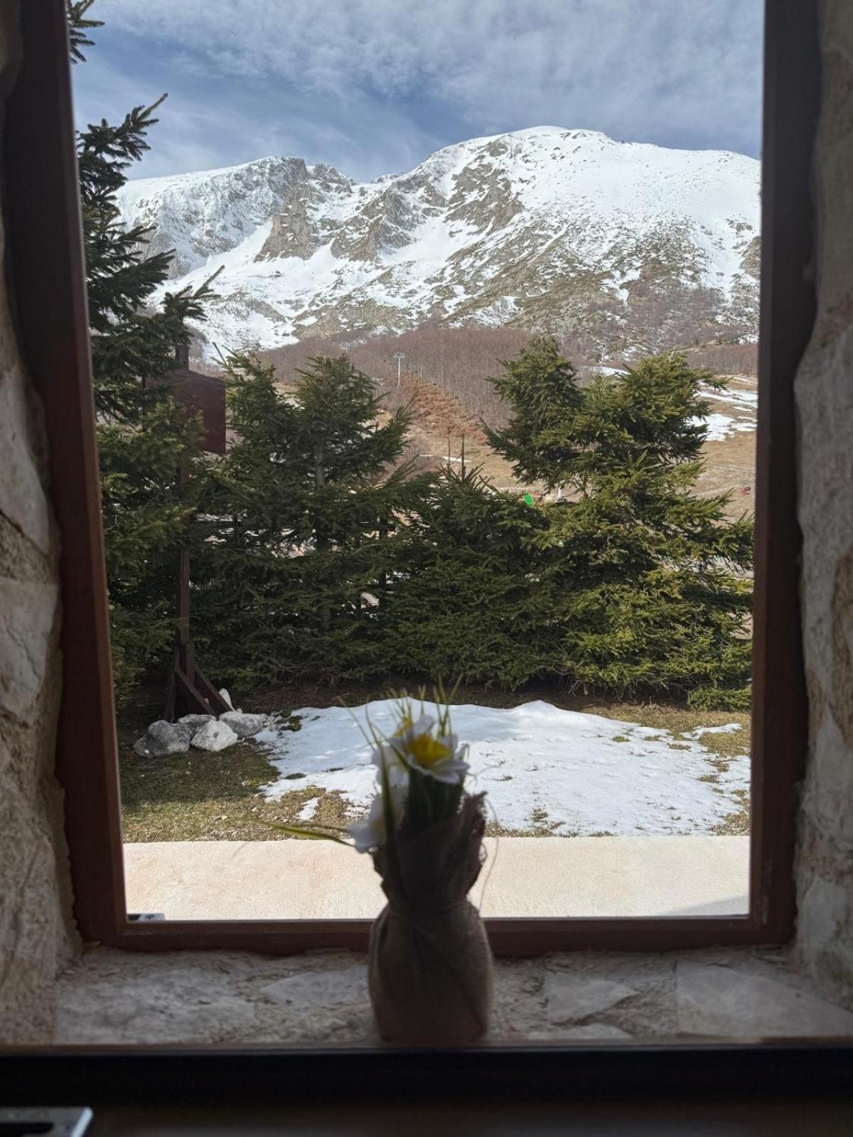 Hébergement de vacances Nv Mountain House Žabljak